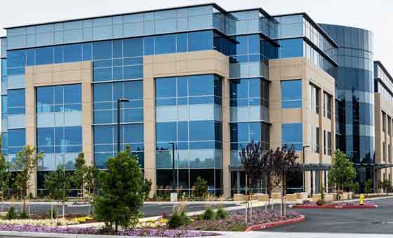 Our company vision